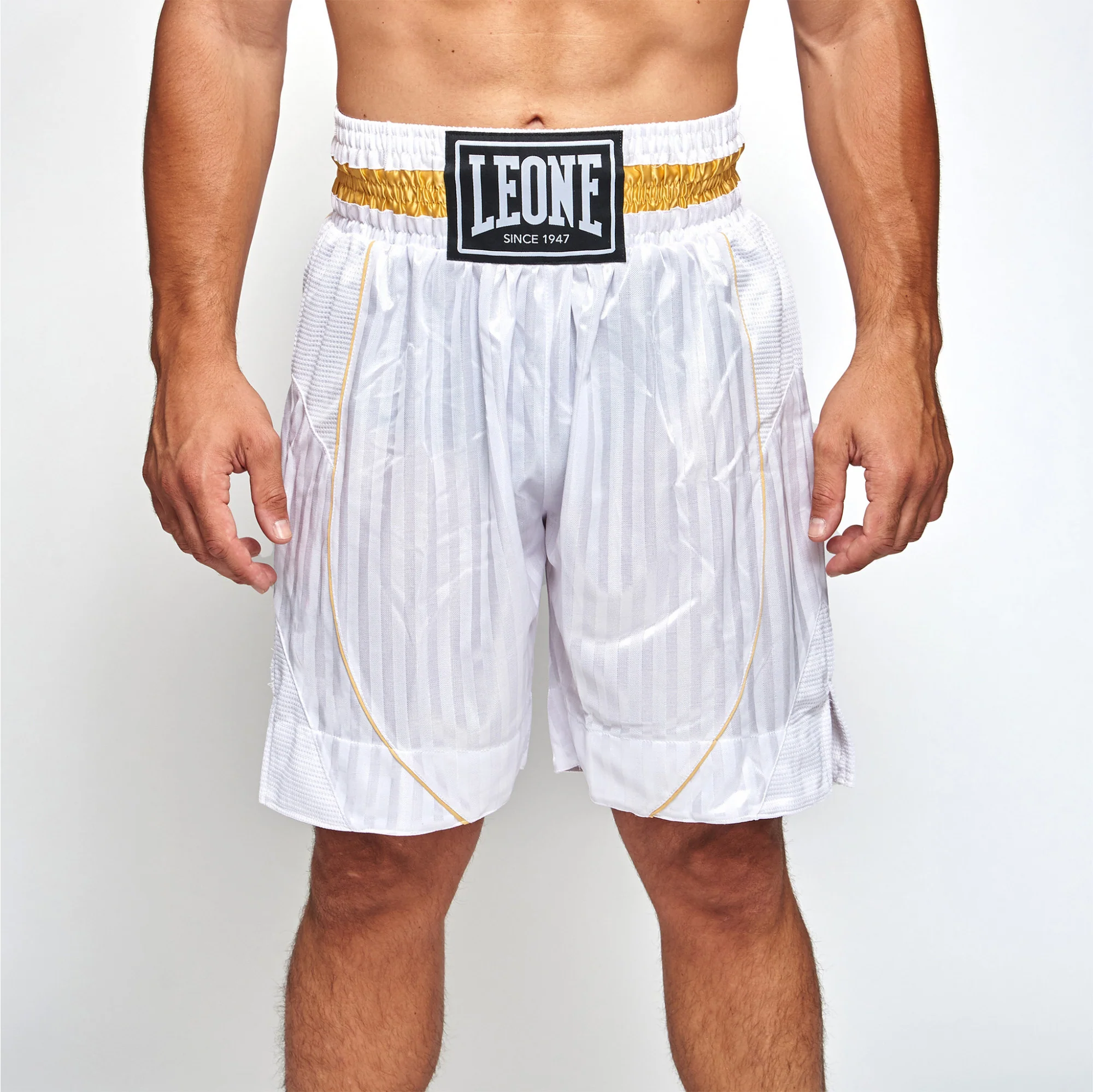 Pantalones de boxeo Leone Premium AB240 - Imagen 8
