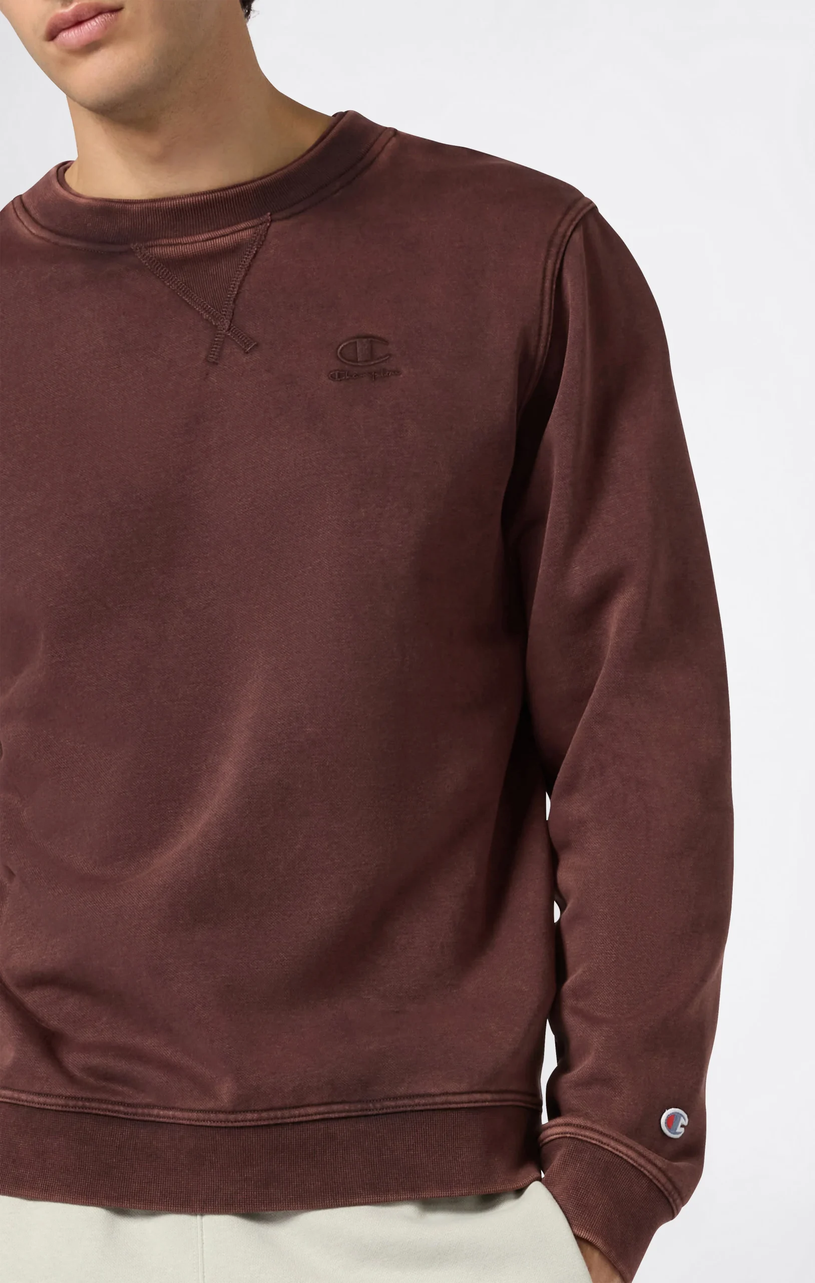 Men’s Washed Fleece Crewneck Sweatshirt Icons - Imagen 5