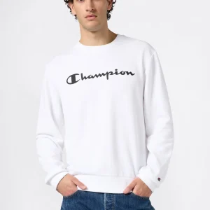 Men’s Lightweight Crewneck Sweatshirt with Maxi Printed Logo