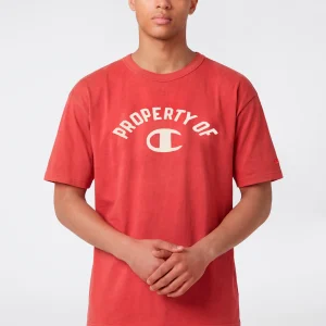 Men’s Collegiate-Inspired Crewneck T-Shirt Time Capsule