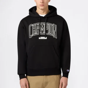 Men’s Hooded Sweatshirt With Brushed Interior And Puff Print Logo