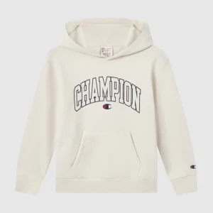 Boys' Fleece Hooded Sweatshirt