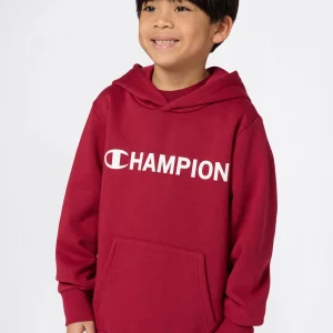 Boys' Fleece Hooded Sweatshirt Graphic