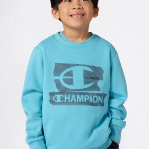 Boys' Fleece Crewneck Sweatshirt Graphic