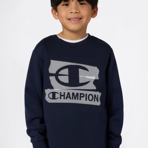 Boys' Fleece Crewneck Sweatshirt Graphic