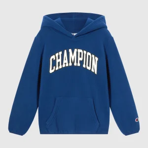 Boys' Fleece Polar Hoodie Script Logo