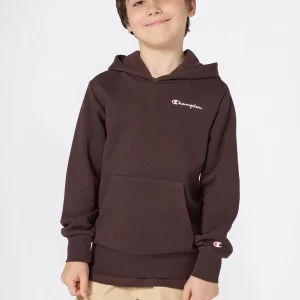 Boys’ Fleece Hoodie with Small Embroidered Logo Icons