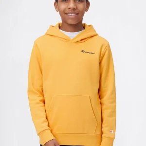 Boys’ Lightweight Hooded Sweatshirt Icons