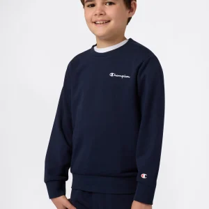 Boys’ Lightweight Crewneck Sweatshirt Icons