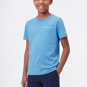 Boys’ Crewneck Small Script Logo T-Shirt Icons