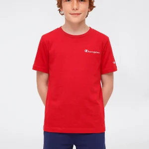 Boys’ Crewneck Small Script Logo T-Shirt Icons