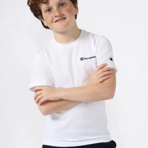 Boys’ Crewneck Small Script Logo T-Shirt Icons