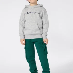 Boys' Fleece Hoodie Sweatshirt Script Logo