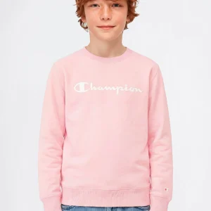 Boys’ Lightweight Crewneck Sweatshirt with Maxi Printed Logo