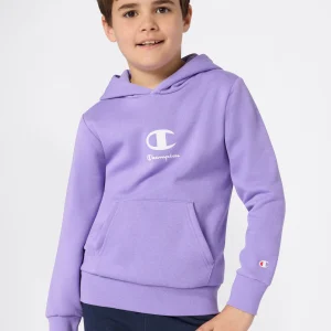 Boys’ Fleece  Hoodie
