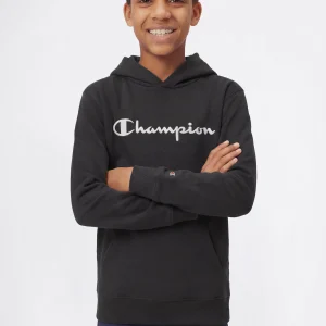 Boys’ Lightweight Hooded Sweatshirt with Tonal Embroidered Maxi Logo Icons