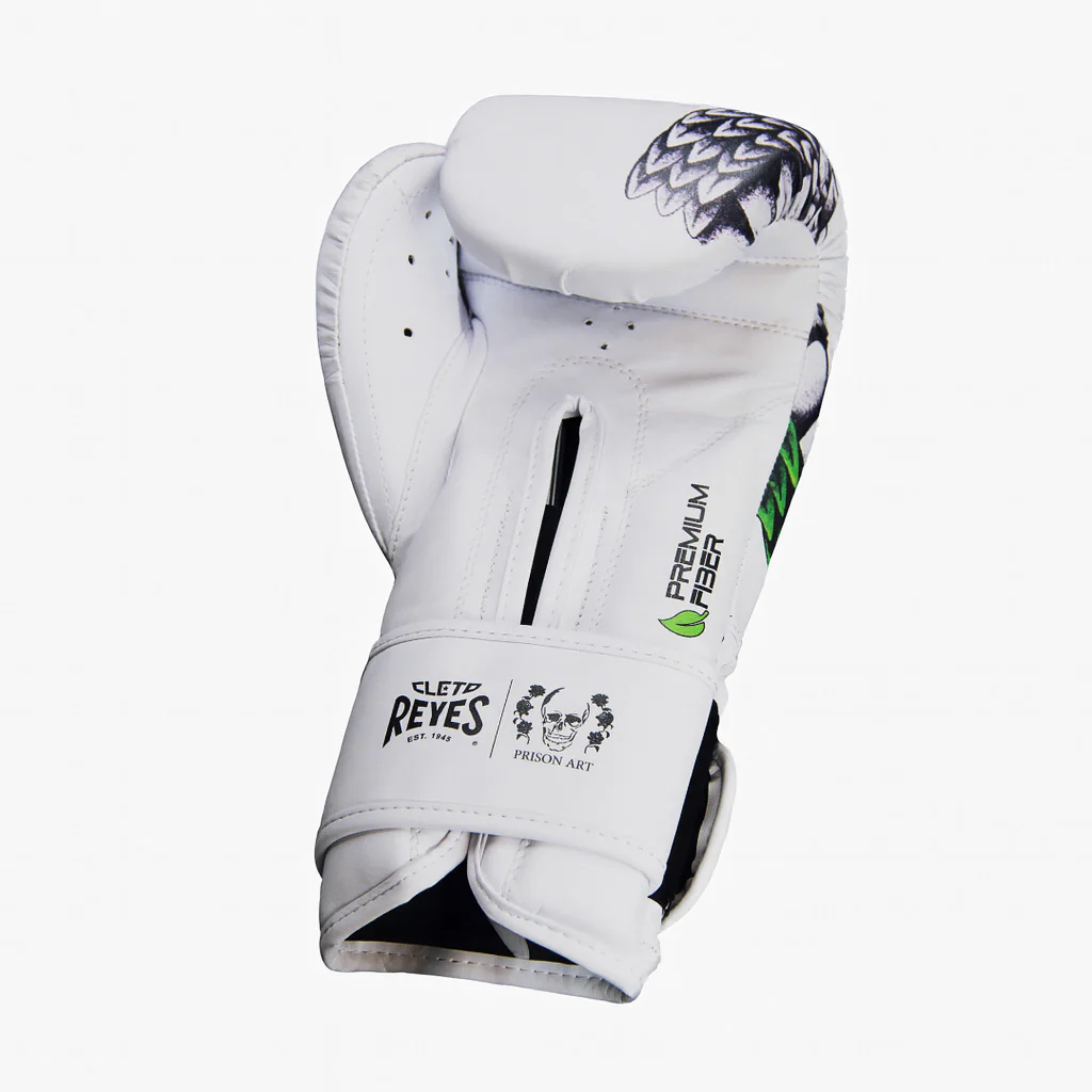 Guantes de boxeo Cleto Reyes Fiber Quetzalcoatl Prison Art - Imagen 6