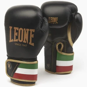 Guantes de boxeo Leone Italia GN039