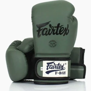 Guantes Muay Thai Fairtex BGV11 Día F