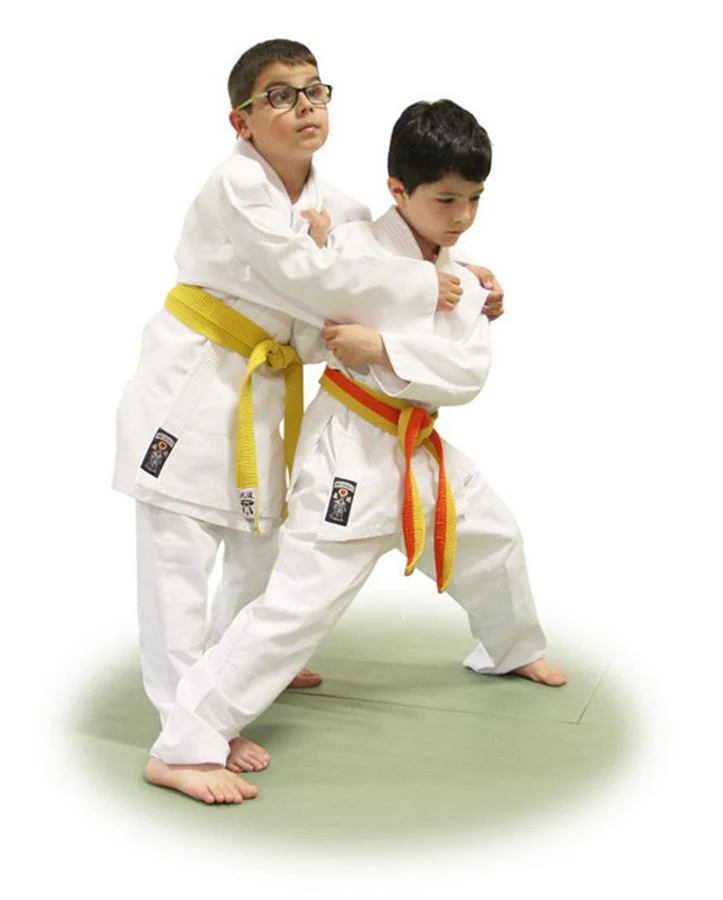 Judogi Matsukaze WAZA - Imagen 3