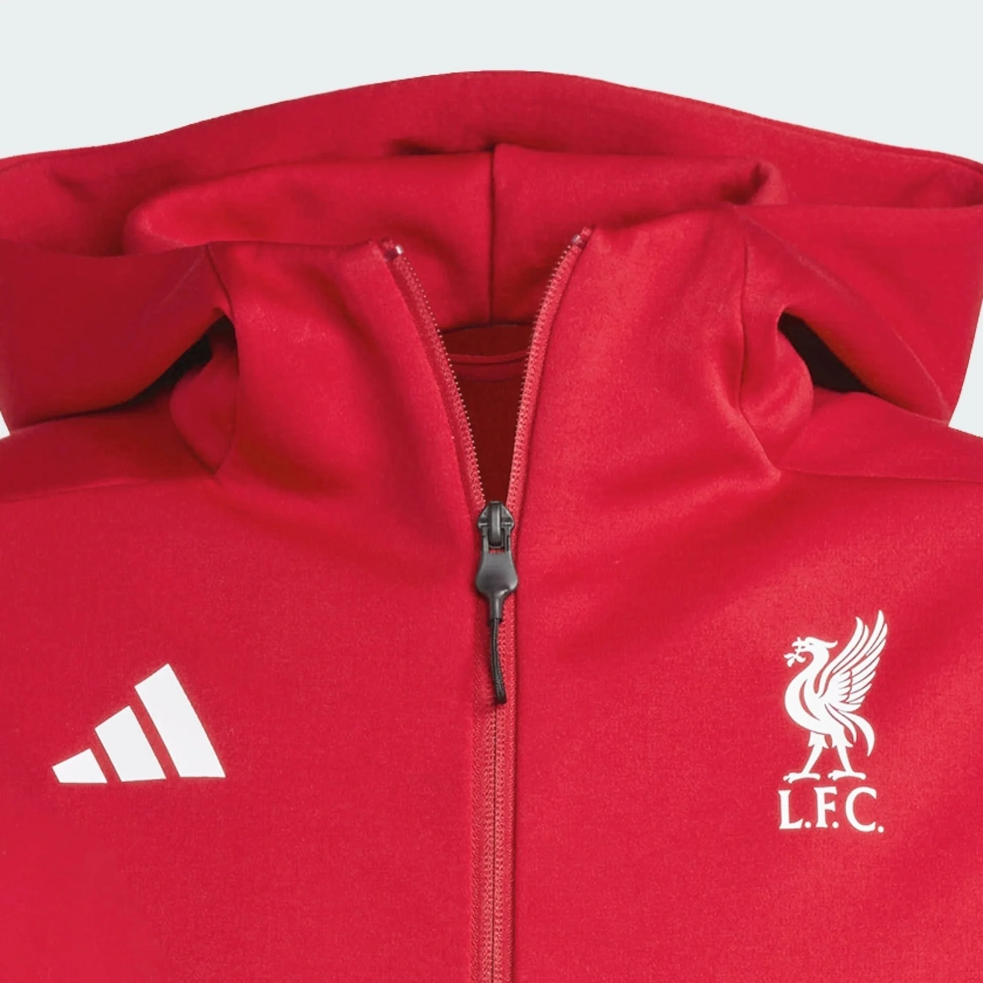 Chaqueta Adidas Liverpool Adulto - Imagen 7