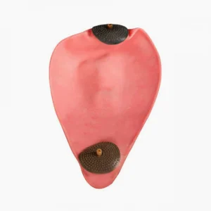 Repuesto Cámara de aire Pera loca Cleto Reyes