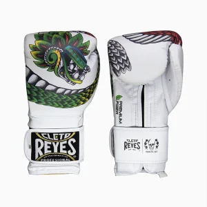 Guantes de boxeo Cleto Reyes Fiber Quetzalcoatl Prison Art