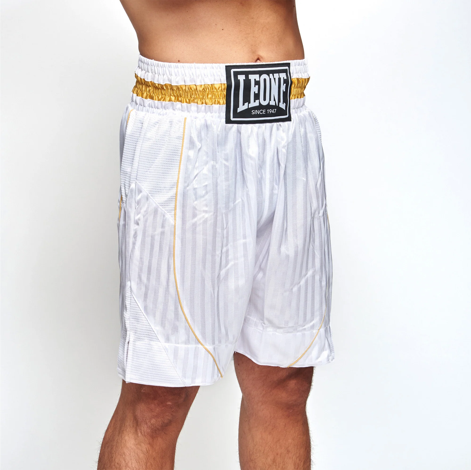 Pantalones de boxeo Leone Premium AB240 - Imagen 9