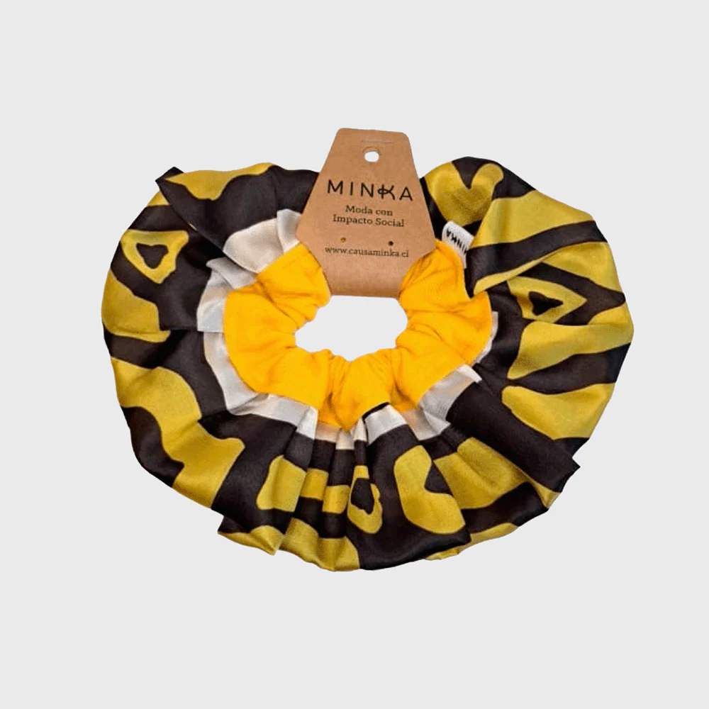 Maxi Coleta Energía